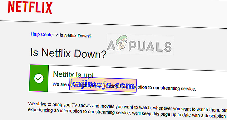 Status server di situs resmi Netflix